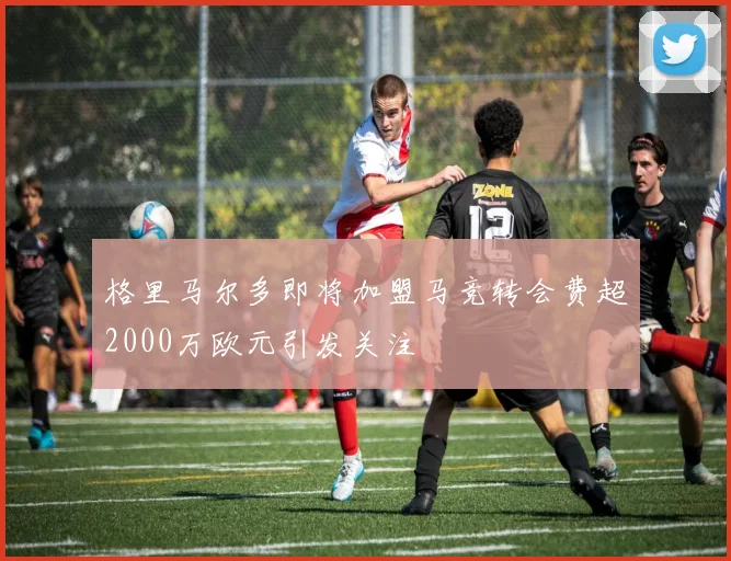 格里马尔多即将加盟马竞转会费超2000万欧元引发关注