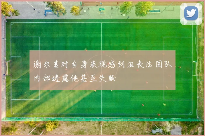 谢尔基对自身表现感到沮丧法国队内部透露他甚至失眠
