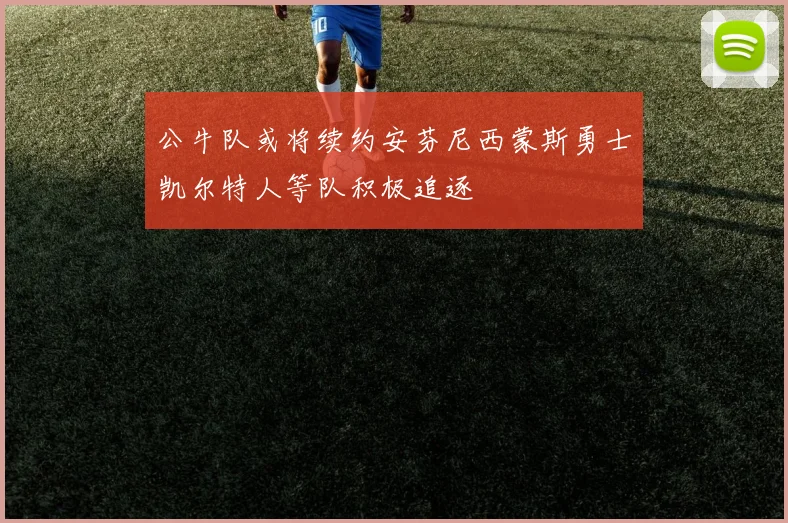 公牛队或将续约安芬尼西蒙斯勇士凯尔特人等队积极追逐