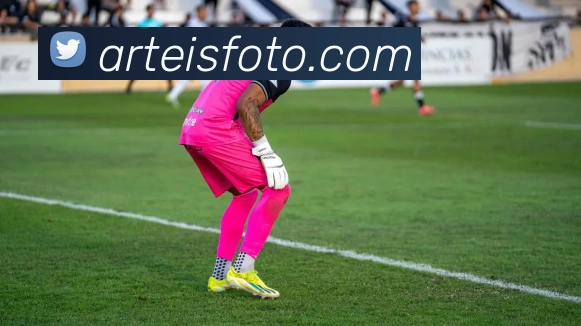 AI Risk Control